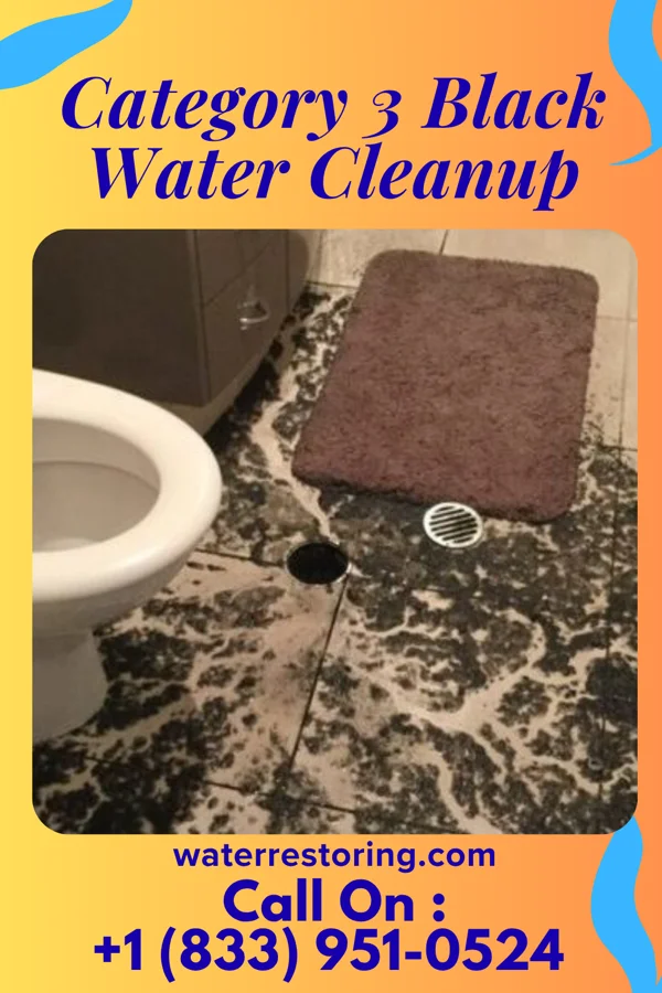 Category 3 Black Water Cleanup in Solway, MN