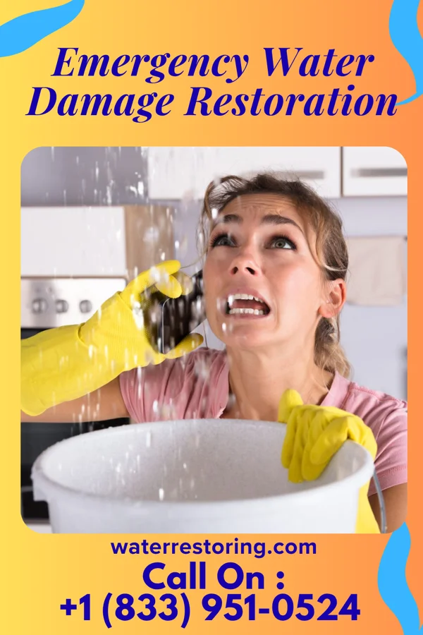 Emergency Water Damage Restoration in Solway, MN