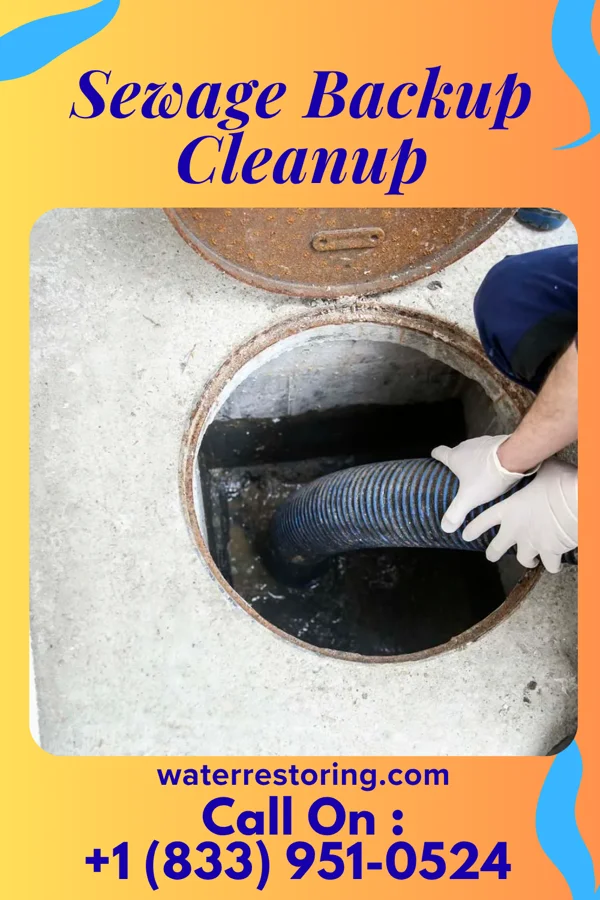 Sewage Backup Cleanup in Solway, MN