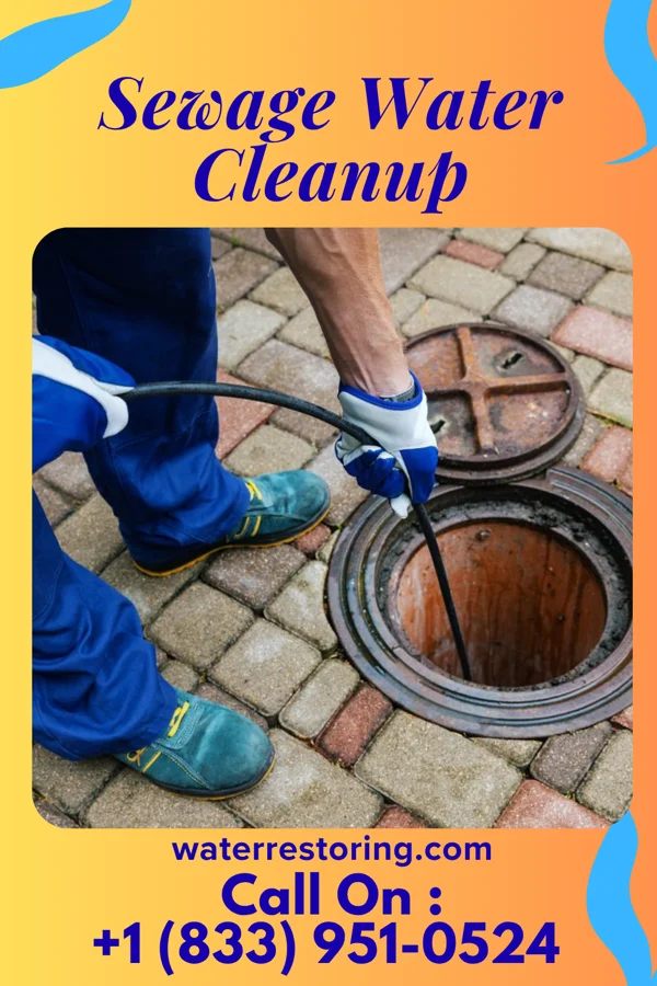 Sewage Water Cleanup in Solway, MN