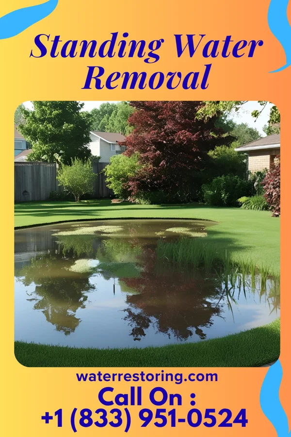 Standing Water Removal in Solway, MN